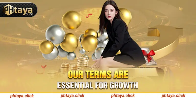 Our terms are essential for growth