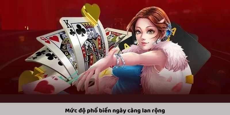 Zo88's journey of more than a decade - History and reputation