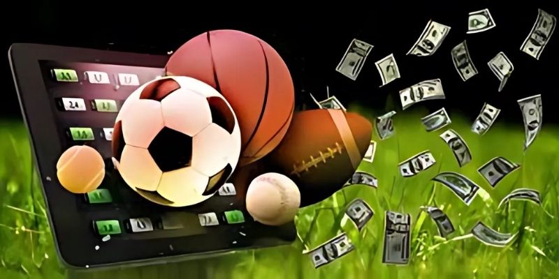 The most attractive OK365 Sports betting halls